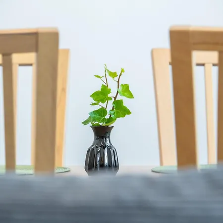 Gornych Walow 21 Lejlighed Gliwice