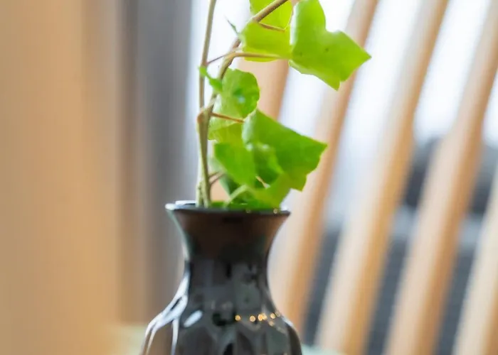 Górnych Wałów 21 Apartamento Gliwice